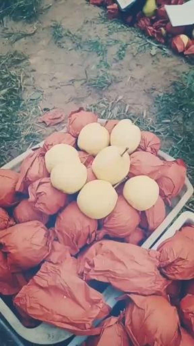 诚信经营