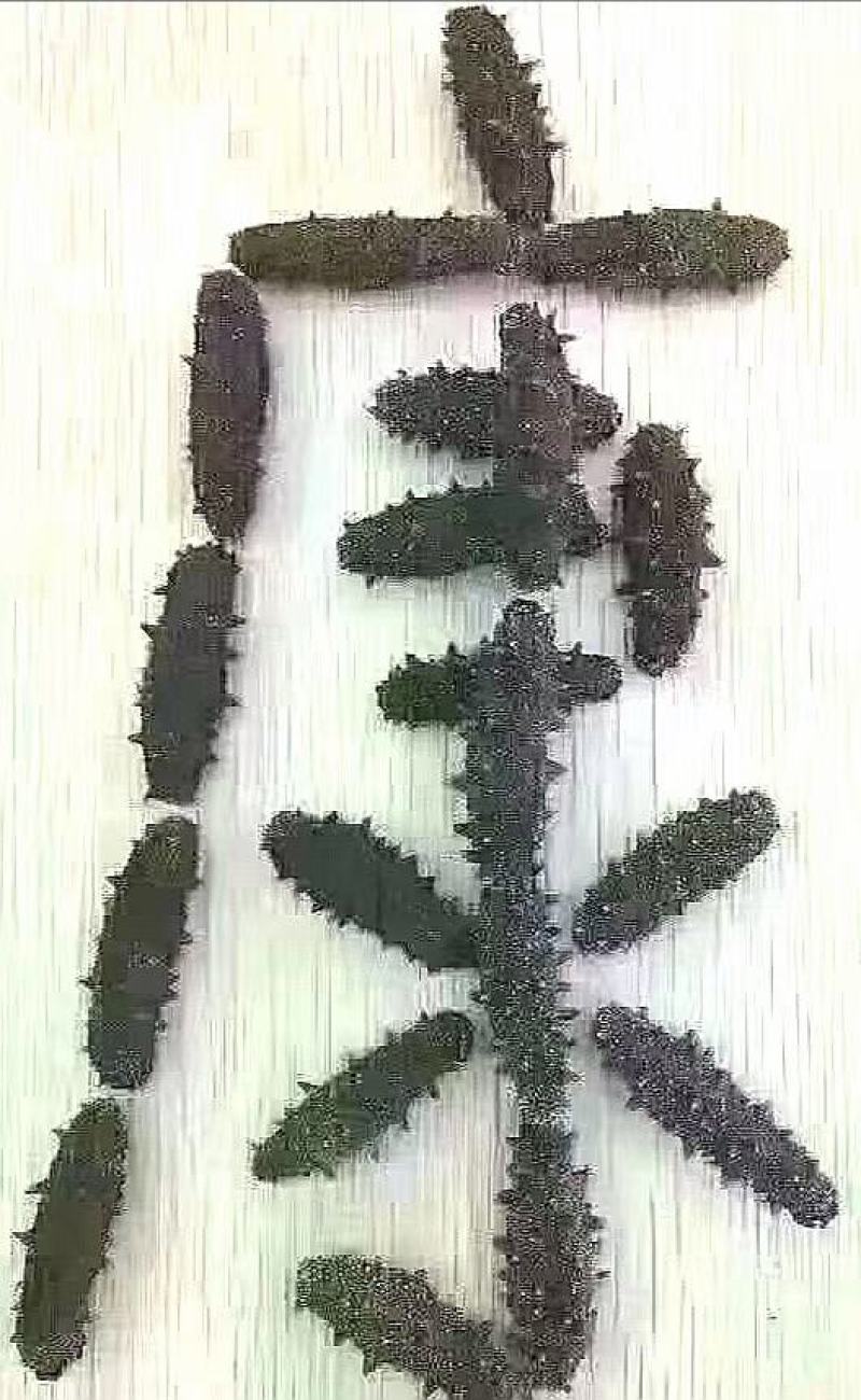 海参