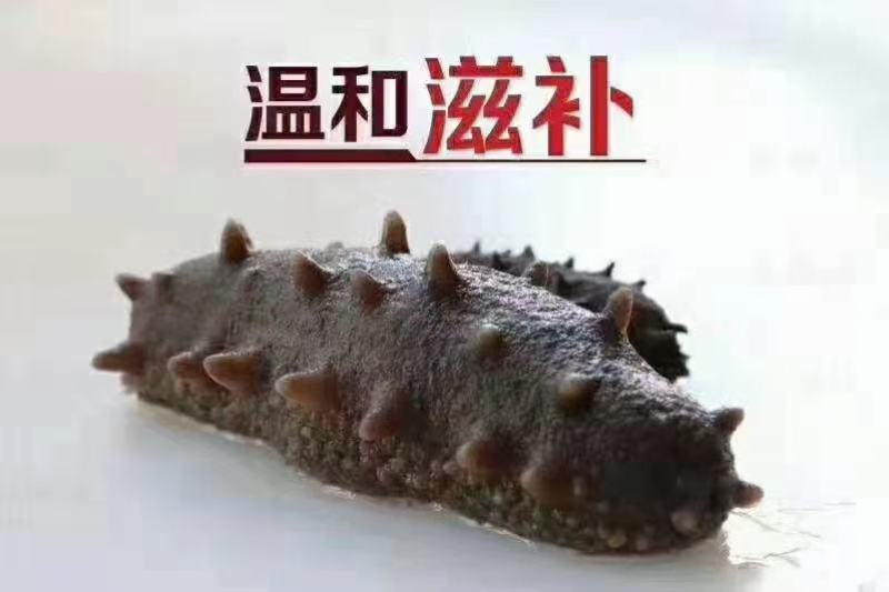 海参