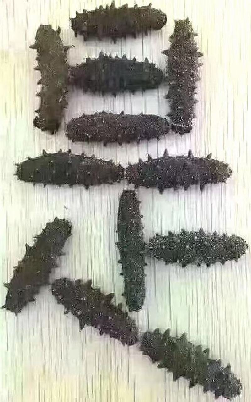 海参