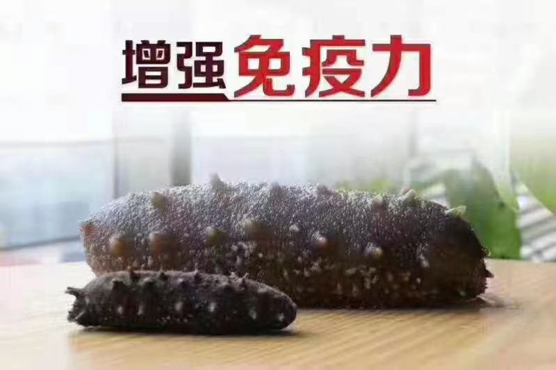 海参
