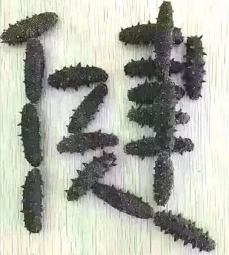 海参