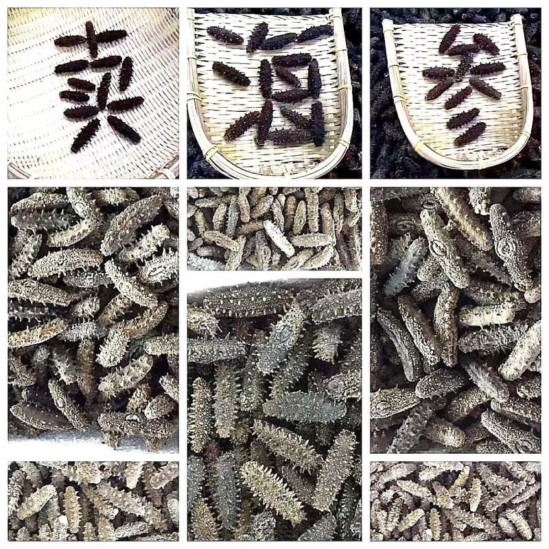 海参