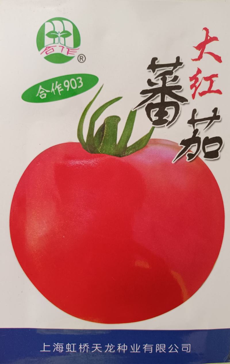 【西红柿】上海903大红番茄耐高温不裂果高产优质种子