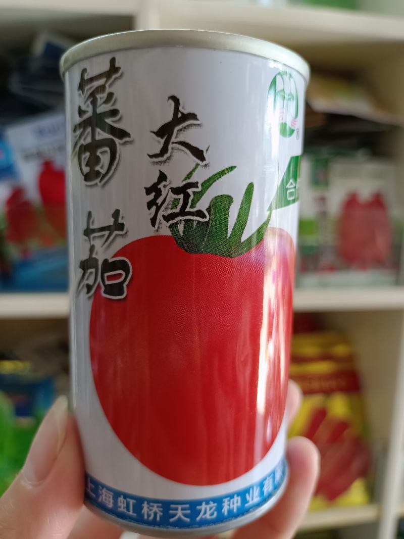 【西红柿】上海903大红番茄耐高温不裂果高产优质种子