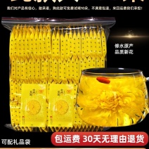 菊花茶金丝皇菊黄菊菊花一朵一杯特级花茶大朵去火胎菊贡菊茶