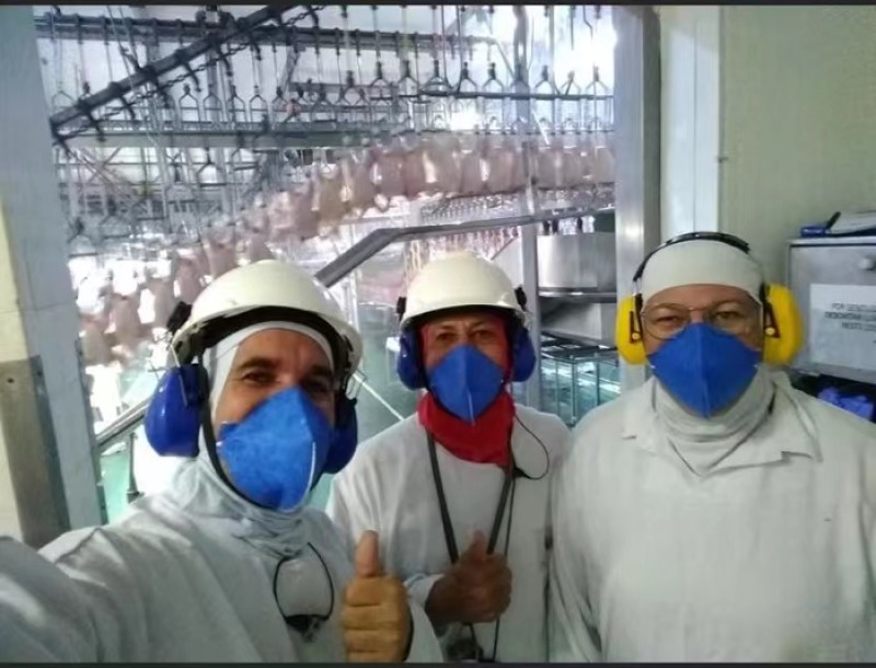 巴西凤爪