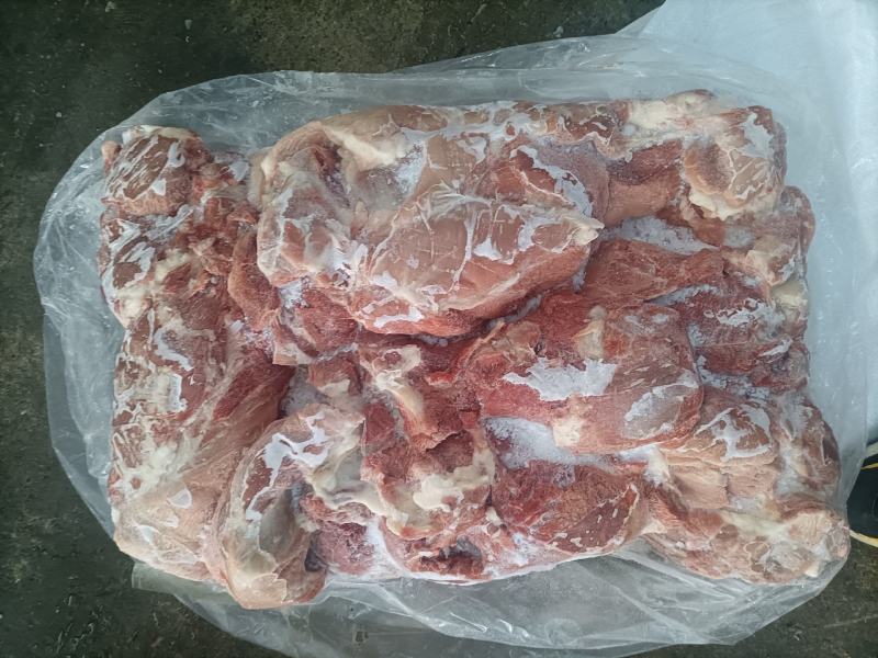 前腿整腿