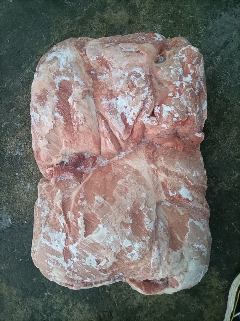 前腿整腿