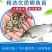 中科三号鱼苗，草鱼，鲤鱼，鲫鱼。会送货上门，货到付款