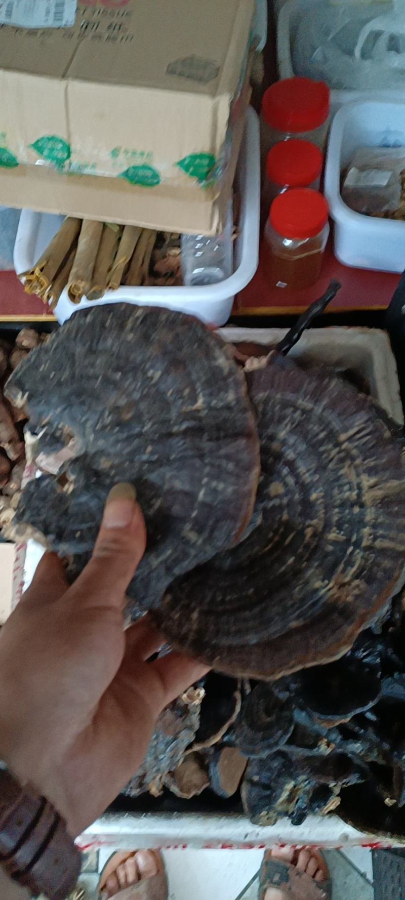 黑灵芝，贵州野生货，杜绝种植，保证质量，可视频看货！！！