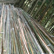 大棚用竹杆，各种规格尺寸的，羊肚菌专用...