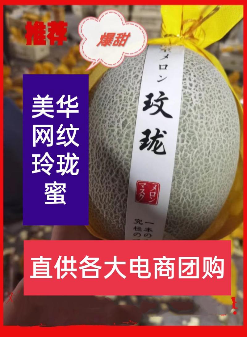 山东美华，网纹，玲珑蜜网五，甜瓜产地直供各大电商平台市场