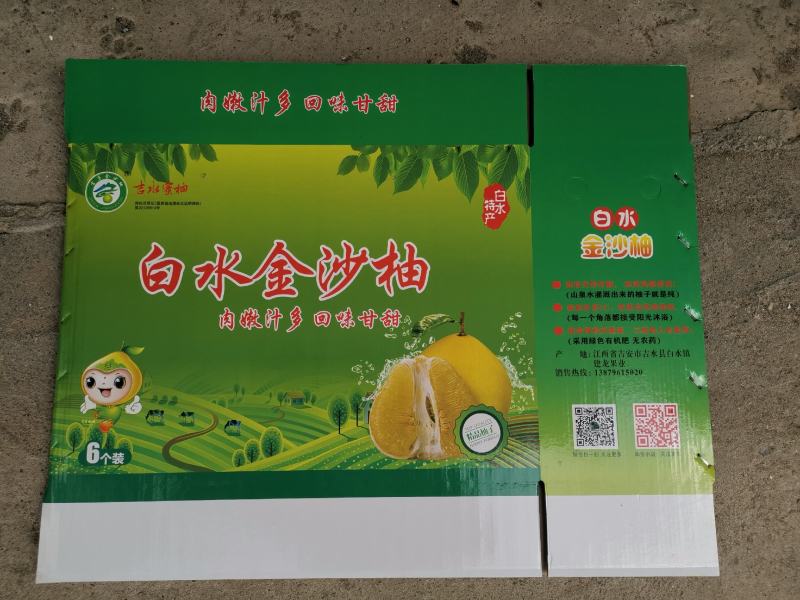 井冈蜜柚金沙柚基地。产品具有甘甜、柚香、肉脆、耐藏特点。