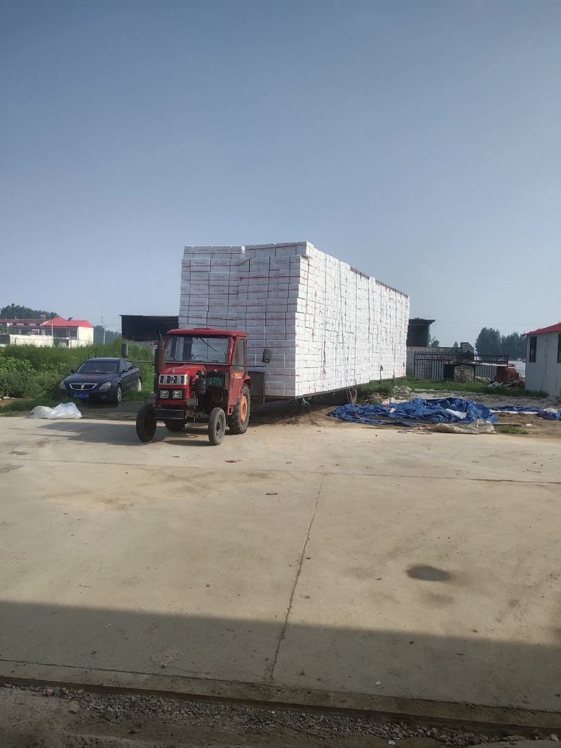 泡沫箱