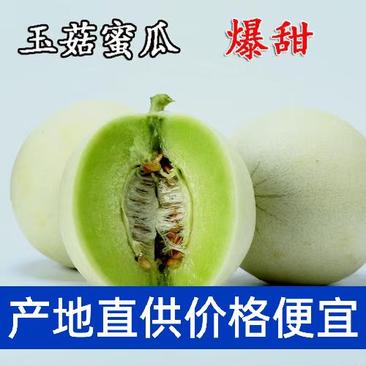 山东寿光玉姑玉菇甜瓜，产地直供各大电商平台市场商超