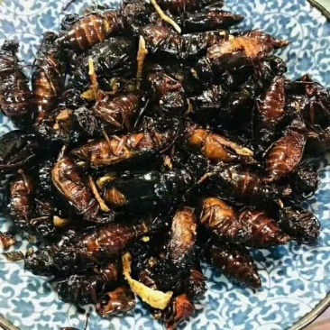 今年新货大公子山水牛大量批发零售，一袋一斤不包邮，要的多