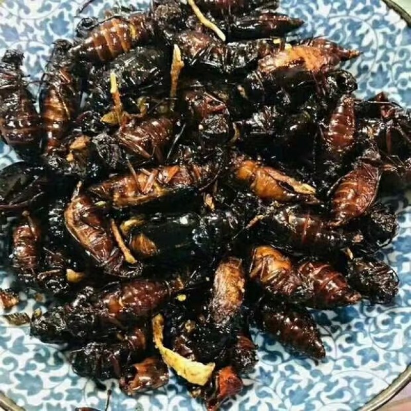 今年新货大公子山水牛大量批发零售，一袋一斤不包邮，要的多