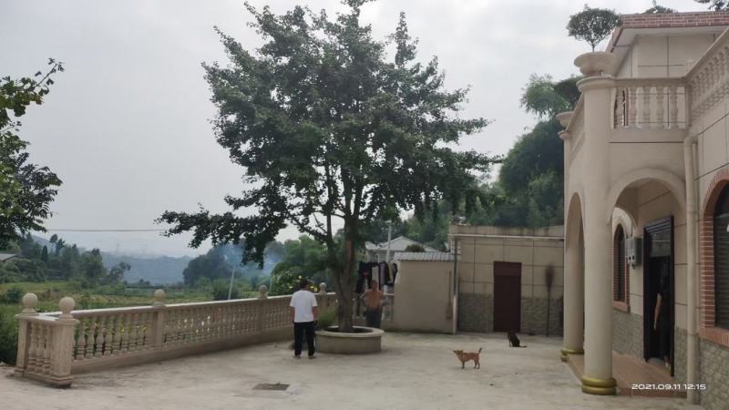 重庆市渝北区180平农房，新房精装修，5个房间