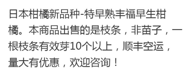 日本新品种柑橘早熟丰福早生蜜桔嫁接枝条(穗条)