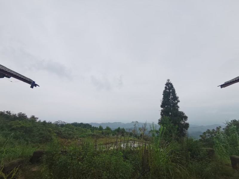 渝北城区边240平农房，海拔640，空高6米，