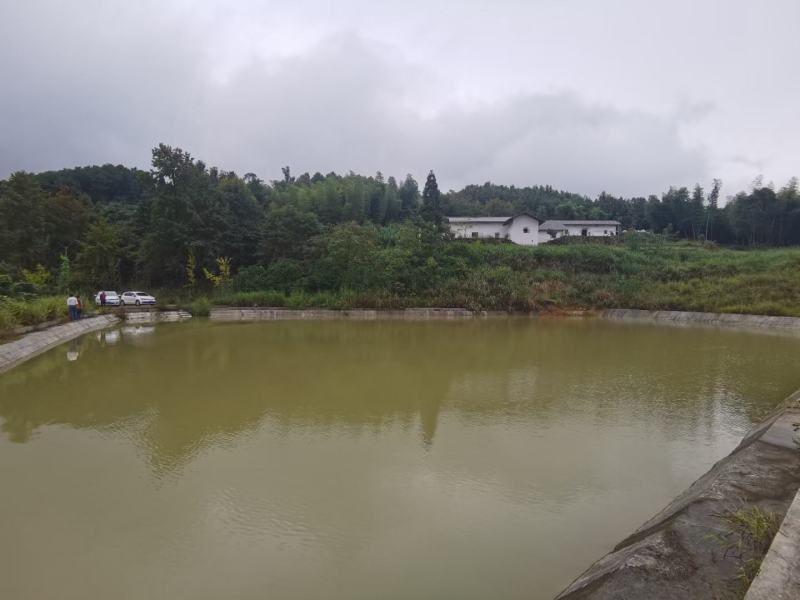 渝北城区边240平农房，海拔640，空高6米，