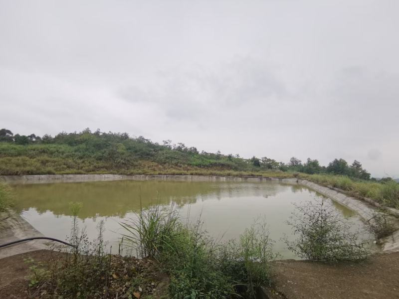 渝北城区边240平农房，海拔640，空高6米，