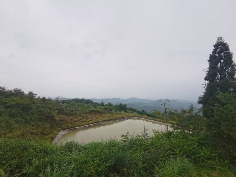 渝北城区边240平农房，海拔640，空高6米，