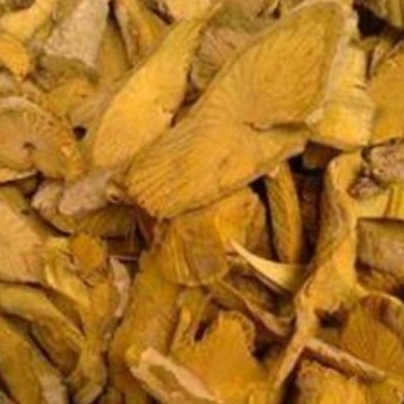 云南野生十大功劳