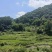 重庆市江北区五宝镇200平乡间别墅，水电气网通