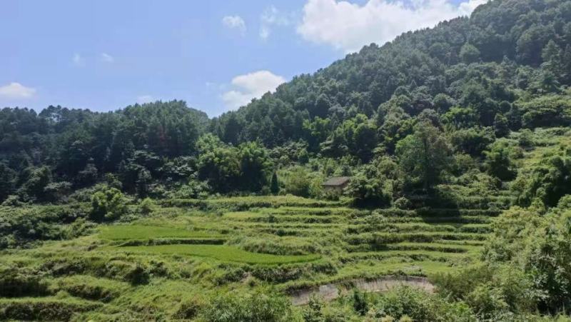 重庆市江北区五宝镇200平乡间别墅，水电气网通
