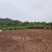 重庆市渝北区300平乡村大别墅外带1400平院坝