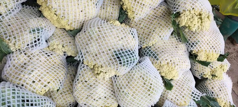 菜花