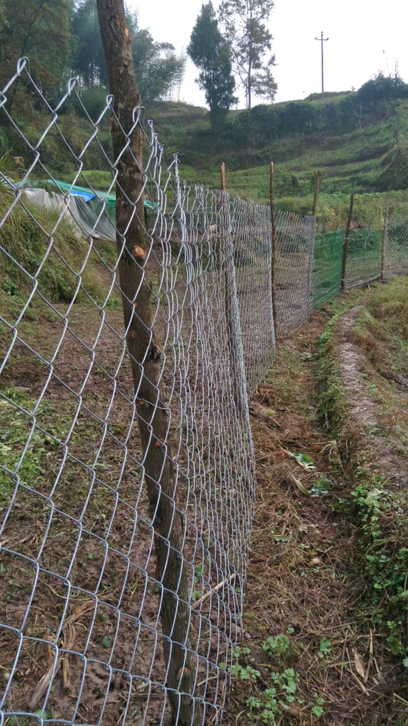 热镀锌圈地围栏网圈牛羊猪网镀锌勾花网铁丝网护栏网隔离网