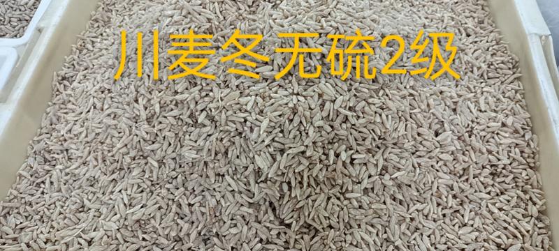 2024川麦冬新货无硫无杂质产地货源充足，常年供货