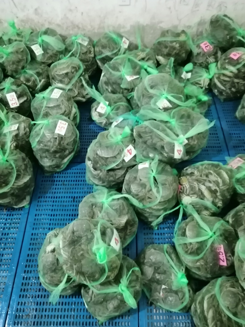大闸蟹