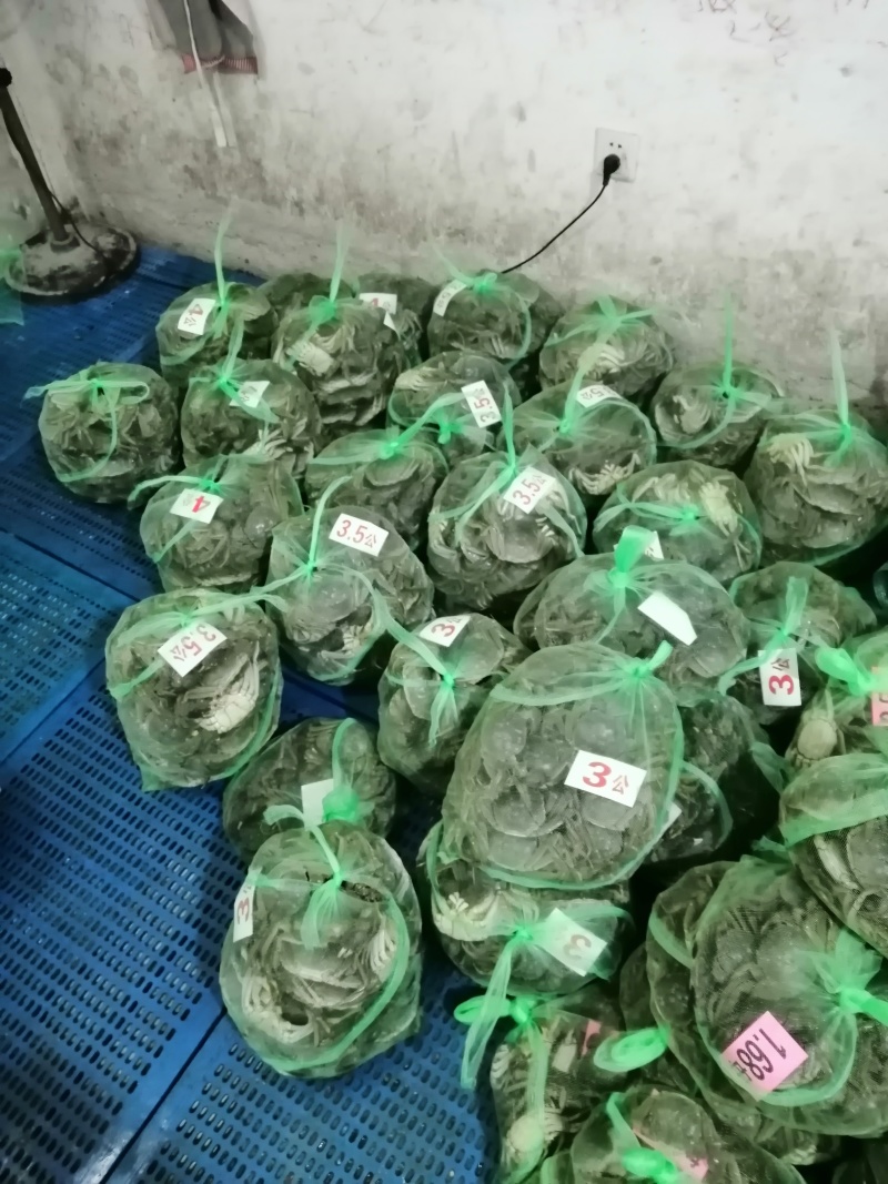 大闸蟹