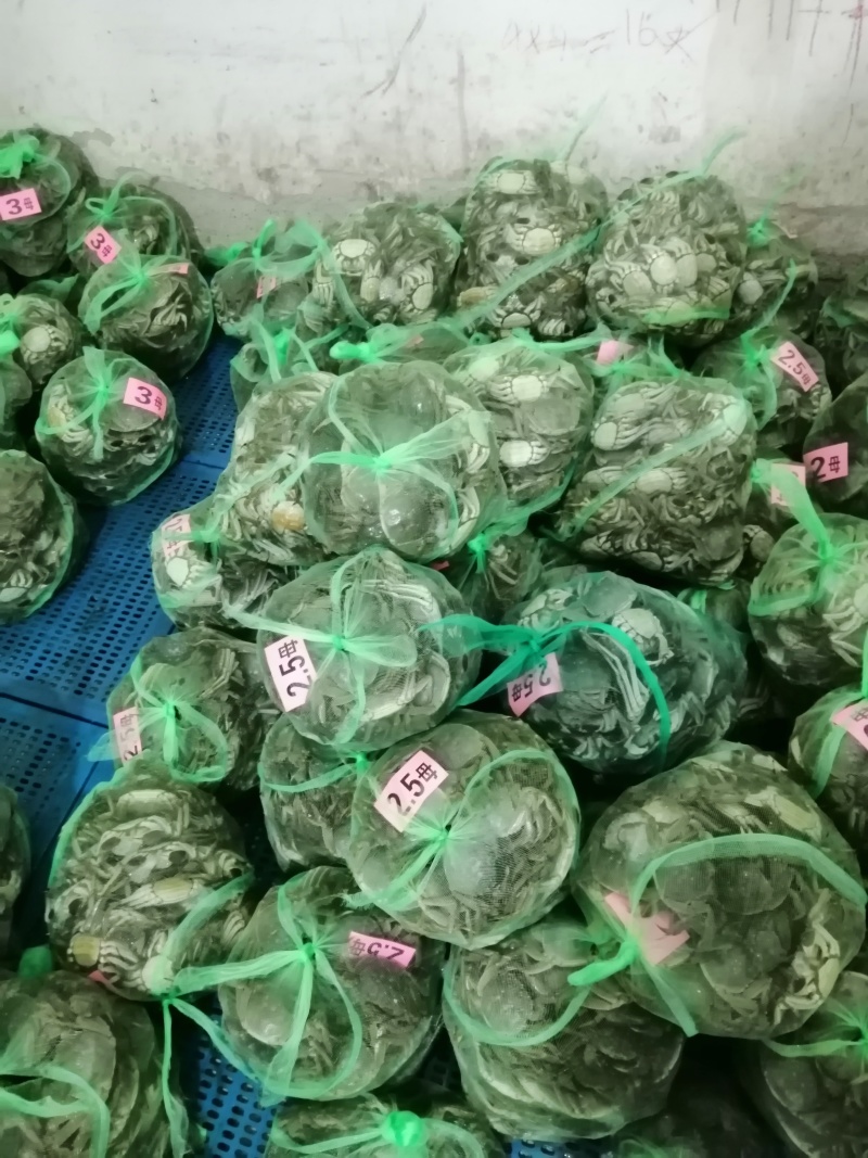 大闸蟹