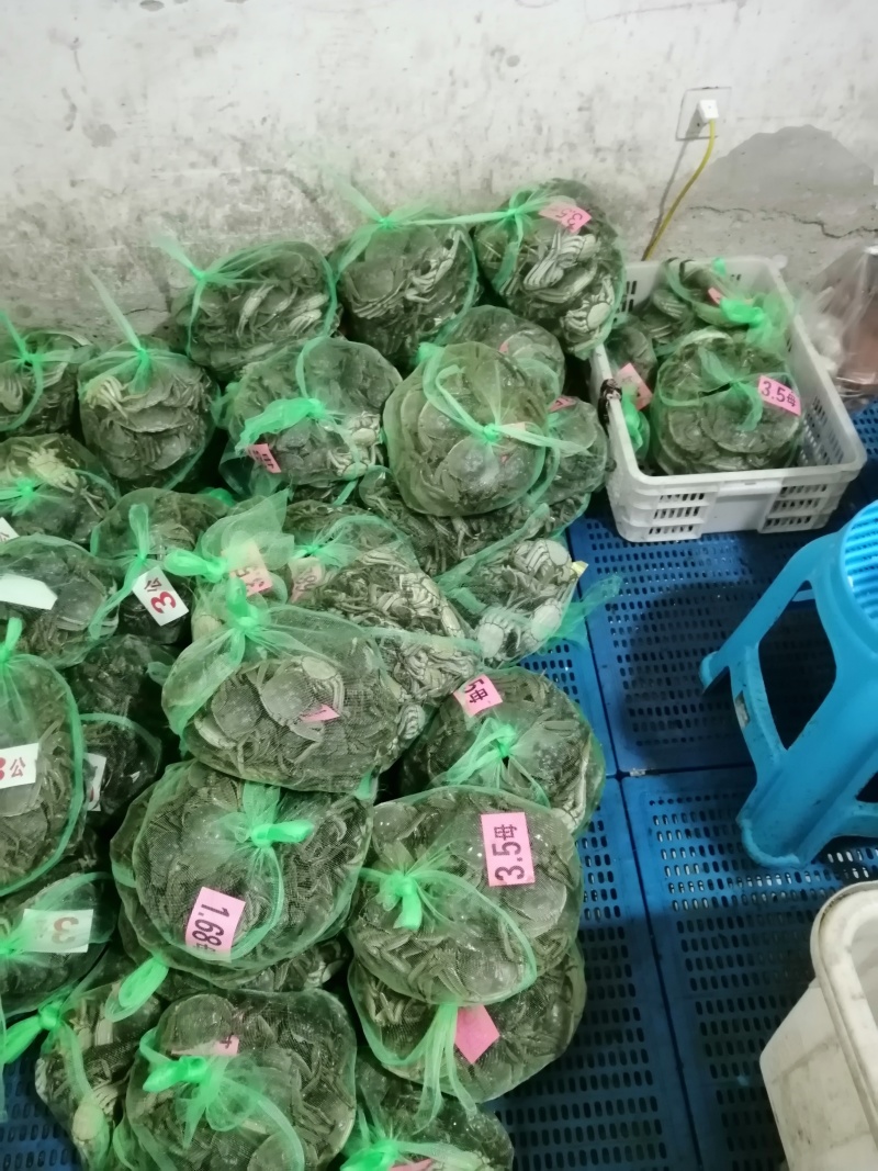 大闸蟹