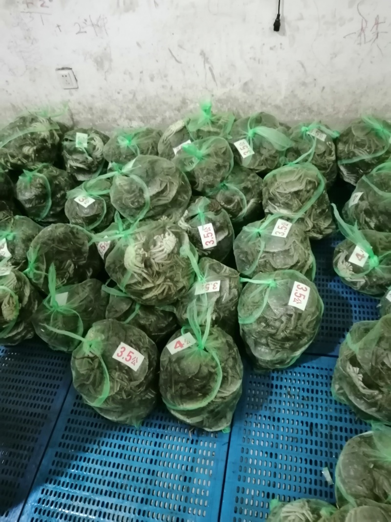 大闸蟹