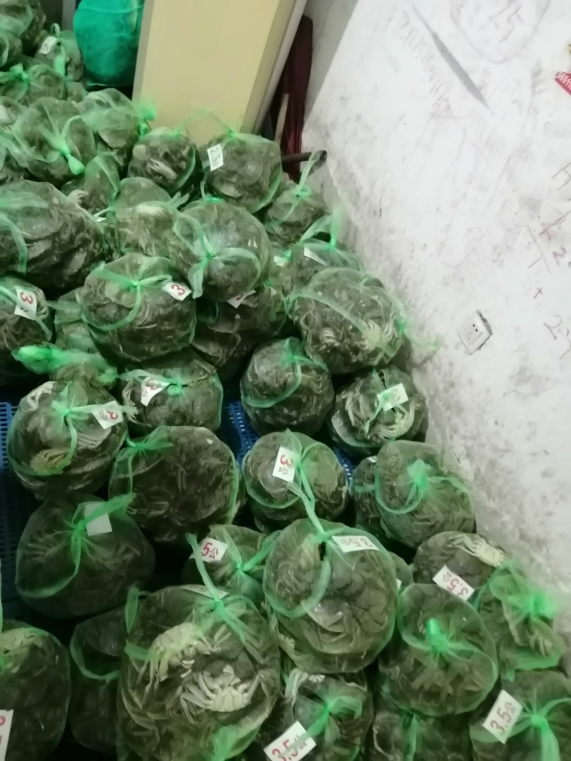 大闸蟹