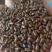 决明子炒决明子选可泡茶中药材批发决明子质量保证