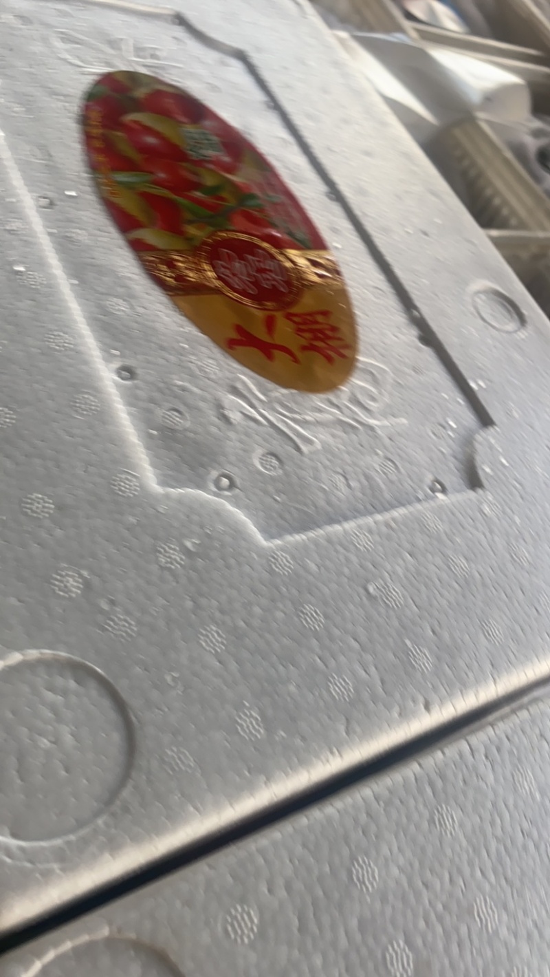 大棚冬枣