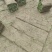 【实力推荐】马尼拉草卷