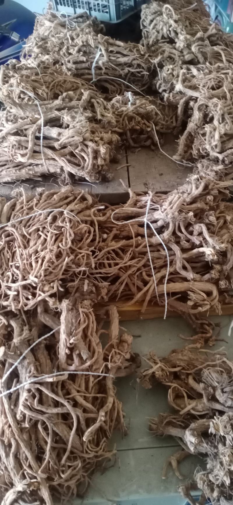 20年秧载防风尾货
