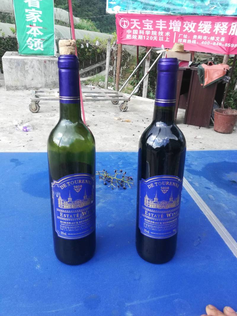 大量葡萄酒批发零售