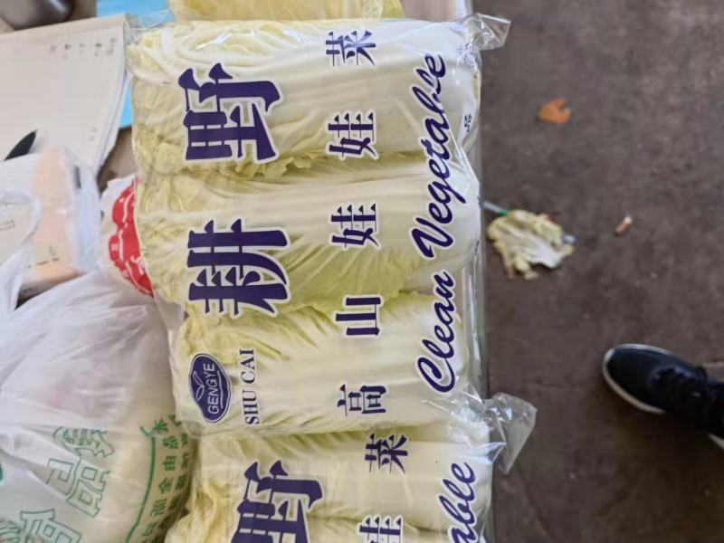 大小娃娃菜大量有货需要的联系！