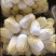 大小娃娃菜大量有货需要的联系！