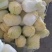 大小娃娃菜大量有货需要的联系！