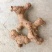 南姜山姜老姜潮汕牛肉火锅卤鹅卤味用